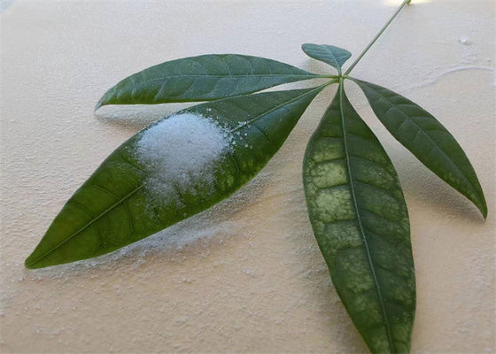 Хорошая цена. Высокая сцепляемость твердая акриловая смола растворимая в спиртах для чернил онлайн